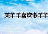 美羊羊喜欢懒羊羊的证据（美羊羊喜欢谁）