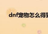 dnf宠物怎么得到（dnf宠物获取方法）
