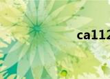 ca1124（ca118）