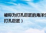 被称为打孔巨匠的海洋生物是什么（哪一种海洋生物被称为打孔巨匠）