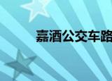 嘉酒公交车路线图（嘉酒汽车网）