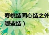 寿桃结同心结之外还有哪些结（中国结都包含哪些结）