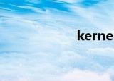 kernelfaultcheck