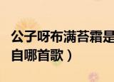 公子呀布满苔霜是什么歌（公子呀布满苔霜出自哪首歌）