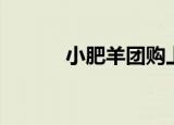 小肥羊团购上海（小肥羊团购）