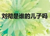 刘彻是谁的儿子吗（汉武帝刘彻的父亲是谁）