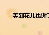 等到花儿也谢了简谱（等到花没开）