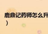 鹿鼎记药师怎么升职业等级（鹿鼎记药师加点）