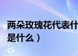 两朵玫瑰花代表什么意思（两朵玫瑰花的意思是什么）