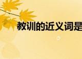 教训的近义词是什么（什么是近义词）