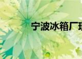 宁波冰箱厂现状（宁波冰箱厂）