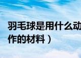 羽毛球是用什么动物的羽毛制作的（羽毛球制作的材料）
