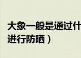 大象一般是通过什么方式来防晒的（大象怎么进行防晒）