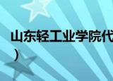山东轻工业学院代码（山东轻工业学院怎么样）