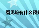 看见蛇有什么预兆（看见蛇寓意着什么）