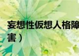 妄想性仮想人格障害游戏（妄想性仮想人格障害）