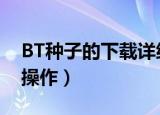 BT种子的下载详细方法（简单几步教你快速操作）