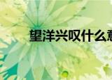 望洋兴叹什么意思（望洋兴叹释义）