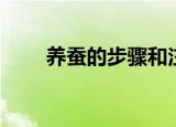 养蚕的步骤和注意事项（怎么养蚕）