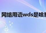 网络用语wds是啥意思（网络用语wds解释）