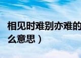 相见时难别亦难的含义（相见时难别亦难是什么意思）