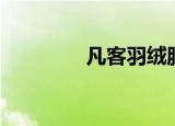 凡客羽绒服（凡客体制作）