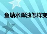 鱼塘水浑浊怎样变清（怎样使鱼塘水变清）