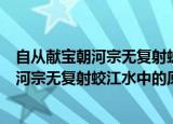 自从献宝朝河宗无复射蛟江水中下一句是什么（自从献宝朝河宗无复射蛟江水中的原文）