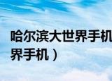 哈尔滨大世界手机市场生意惨淡（哈尔滨大世界手机）