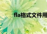 fla格式文件用什么打开（fla格式）