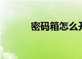 密码箱怎么开（怎么开密码箱）