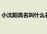 小沈阳真名叫什么名字（艺名小沈阳的由来）