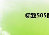标致505图片（标致505）
