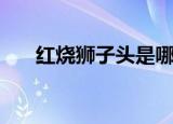 红烧狮子头是哪里的菜（是南方菜品）