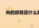 央的部首是什么偏旁（央字是什么偏旁）