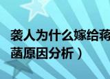 袭人为什么嫁给蒋玉菡（袭人为什么嫁给蒋玉菡原因分析）
