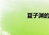 夏子渊的妻子（夏子渊）