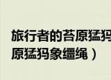 旅行者的苔原猛犸象npc怎么换（旅行者的苔原猛犸象缰绳）