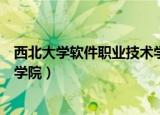 西北大学软件职业技术学院分数线（西北大学软件职业技术学院）