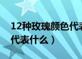 12种玫瑰颜色代表什么（12种玫瑰颜色分别代表什么）