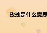 玫瑰是什么意思（玫瑰的含义是什么）