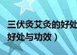 三伏灸艾灸的好处与功效（关于三伏灸艾灸的好处与功效）