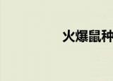 火爆鼠种族值（火爆鼠）