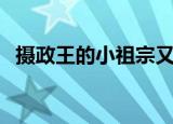摄政王的小祖宗又撒野了免费小说（摄团）