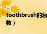 toothbrush的复数形式（toothbrush的复数）