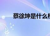 蔡徐坤是什么梗（蔡徐坤有什么梗）