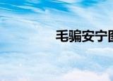 毛骗安宁图片（毛骗安宁）