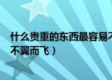什么贵重的东西最容易不翼而飞呢（什么贵重的东西最容易不翼而飞）