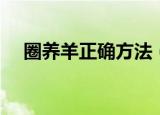 圈养羊正确方法（圈养羊正确方法介绍）