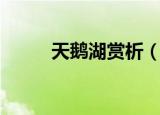 天鹅湖赏析（它有什么精彩之处）